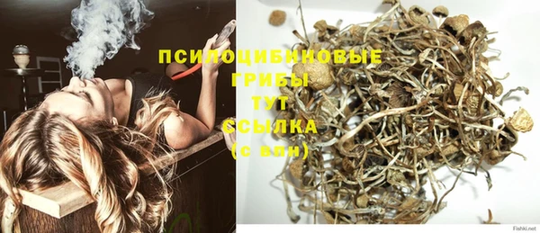 дживик Алзамай