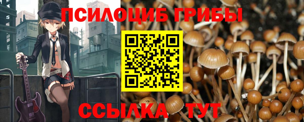 Серов  Псилоцибиновые грибы GOLDEN TEACHER  Вход с VPN  Галлюциногенные грибы ЛСД 
